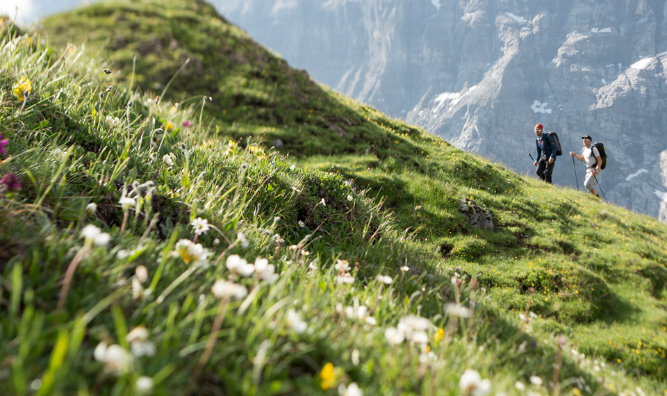 Foto: Thomas Ulrich  // Location: Schilthorn, Schweiz